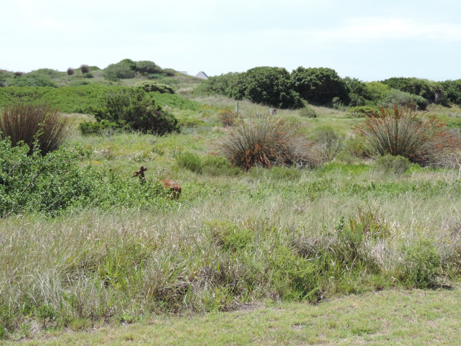 0 Bedroom Property for Sale in St Francis Links Eastern Cape